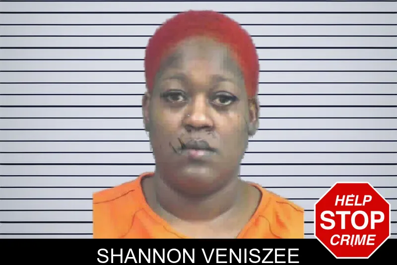 Shannon Veniszee mugshot