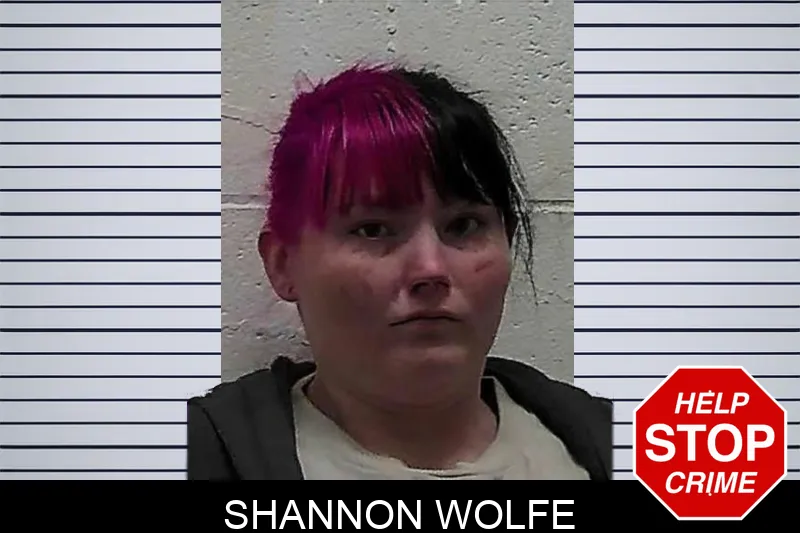 Shannon Wolfe mugshot – Pierce County , Georgia Shannon Wolfe mugshot