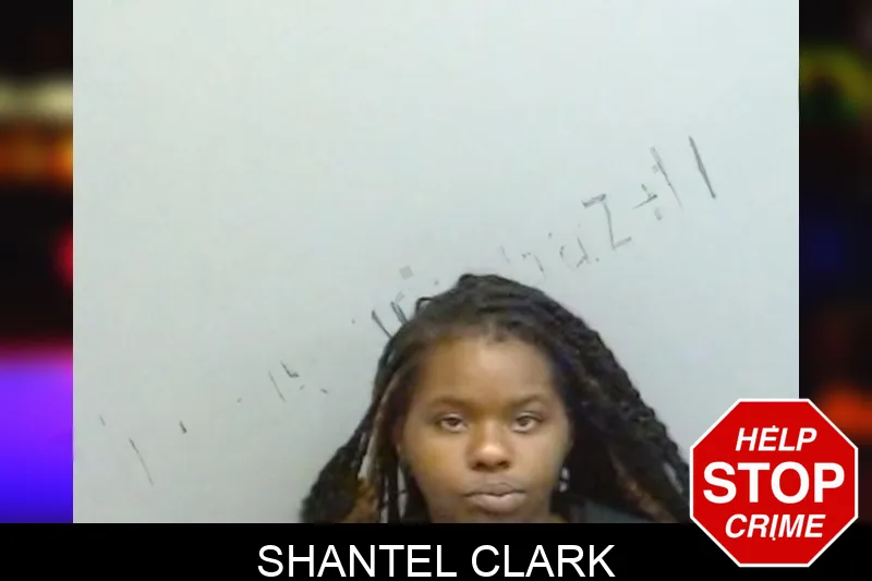 Shantel Clark mugshot – Fulton County , Georgia Shantel Clark mugshot