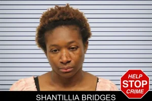 Shantillia Bridges mugshot