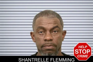 Shantrelle Flemming mugshot