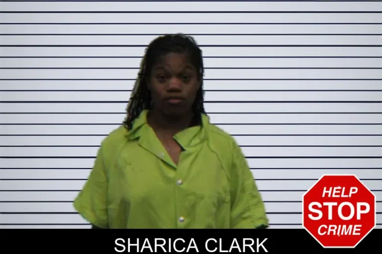 Sharica Clark mugshot – Turner County , Georgia Sharica Clark