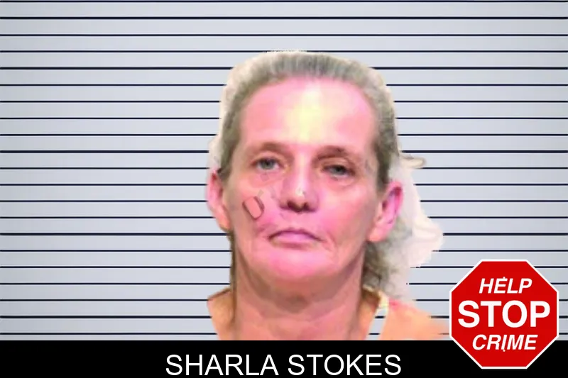Sharla Stokes mugshot