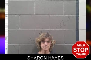 Sharon Hayes mugshot