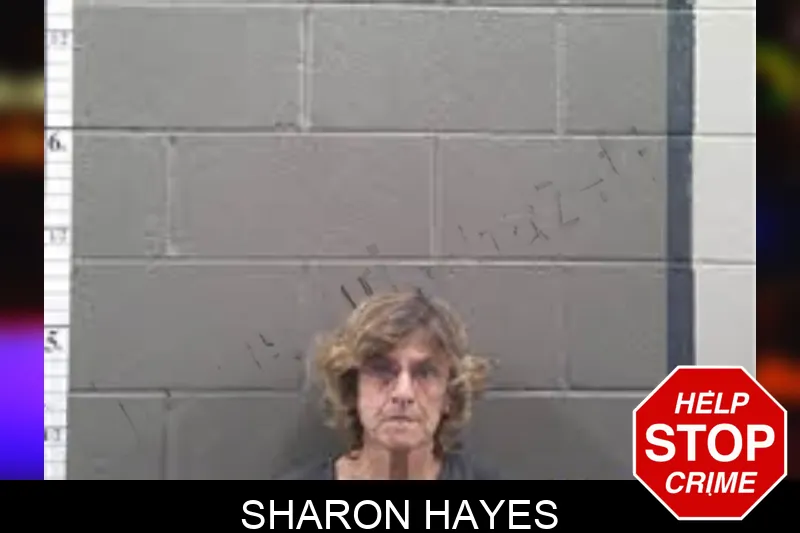 Sharon Hayes mugshot