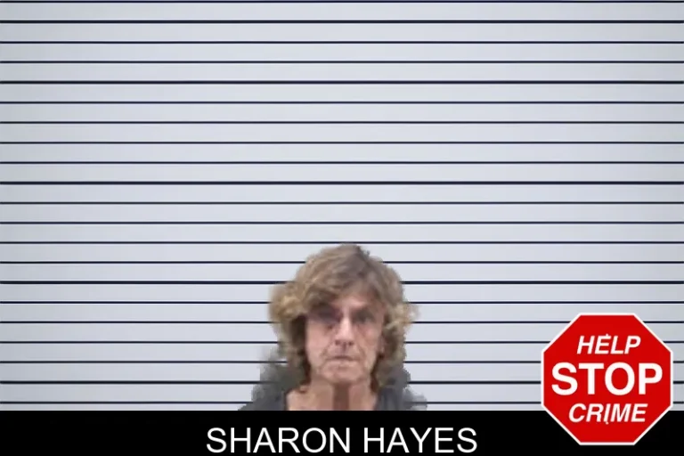 Sharon Hayes