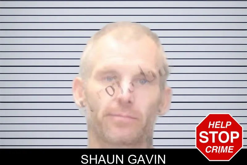 Shaun Gavin mugshot