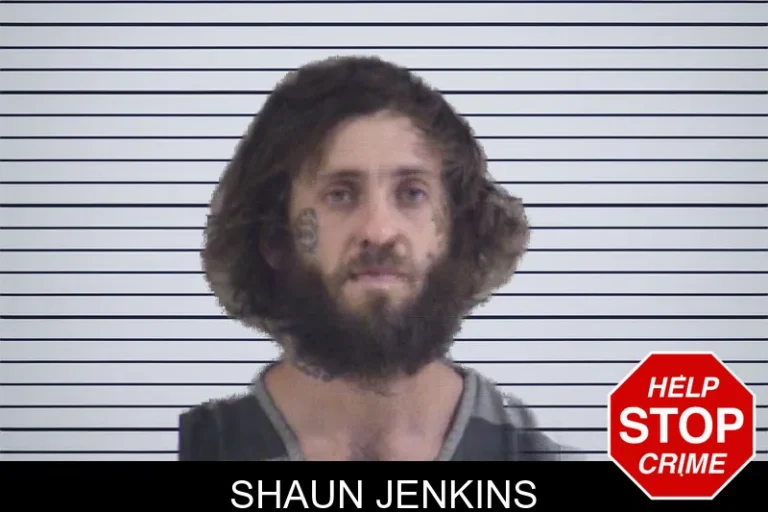 Shaun Jenkins