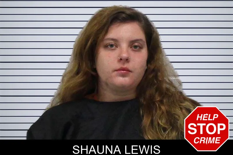 Shauna Lewis mugshot