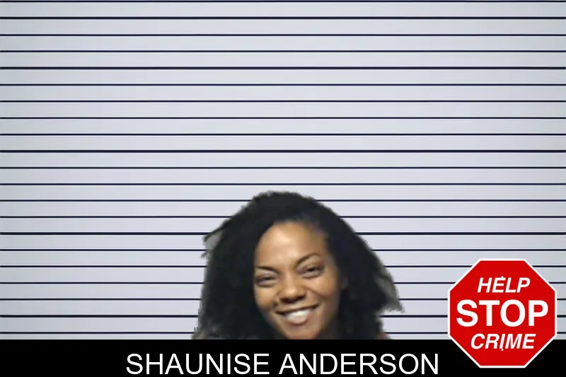 Shaunise Anderson mugshot