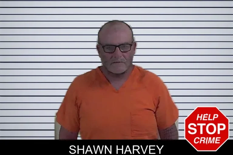 Shawn Harvey mugshot – Fannin County , Georgia Shawn Harvey