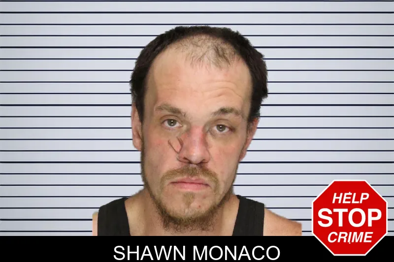 Shawn Monaco mugshot