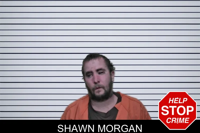 Shawn Morgan mugshot – Ben Hill County , Georgia Shawn Morgan mugshot