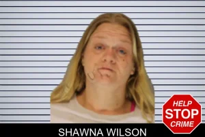 Shawna Wilson mugshot