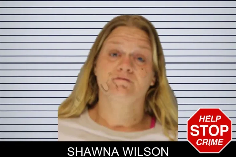 Shawna Wilson mugshot – Hall County , Georgia Shawna Wilson