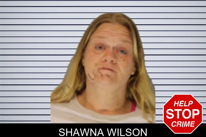 Shawna Wilson mugshot