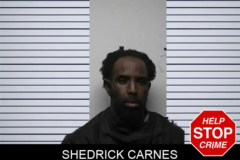 Shedrick Carnes mugshot