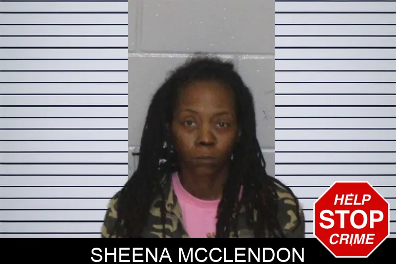 Sheena McClendon mugshot