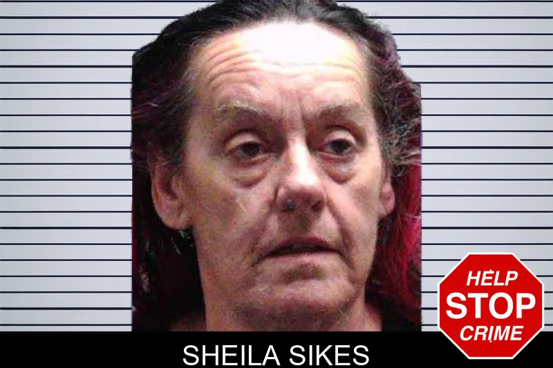 Sheila Sikes mugshot