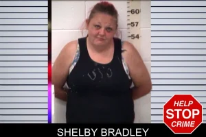 Shelby Bradley mugshot