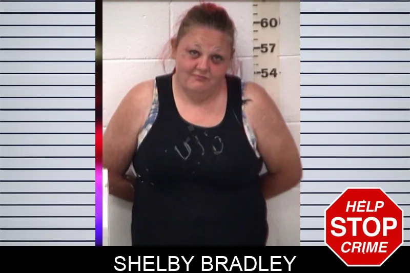 Shelby Bradley mugshot