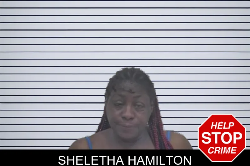 Sheletha Hamilton mugshot – Coffee County , Georgia Sheletha Hamilton mugshot