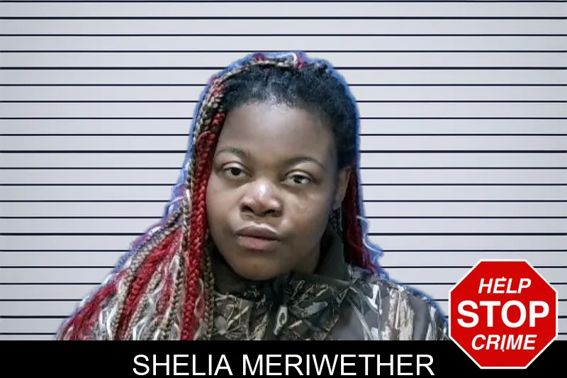 Shelia Meriwether mugshot