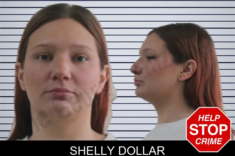 Shelly Dollar mugshot