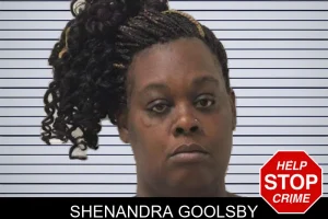 Shenandra Goolsby mugshot