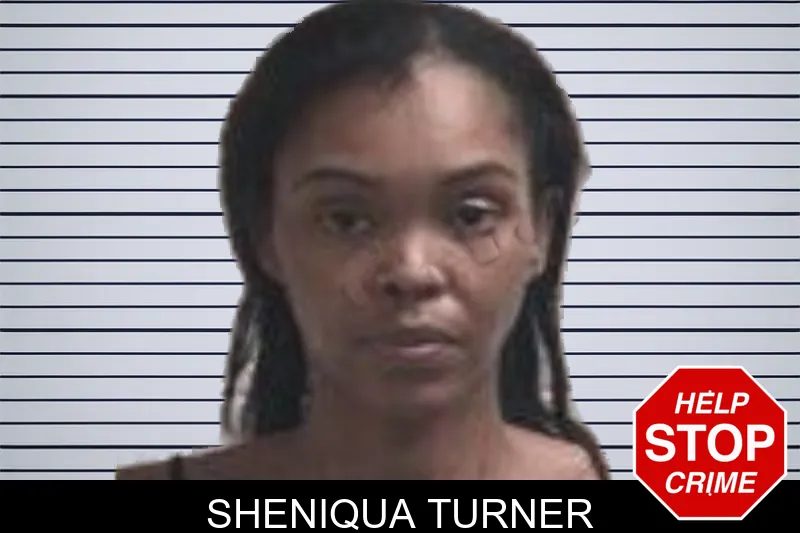 Sheniqua Turner mugshot – Henry County , Georgia Sheniqua Turner mugshot