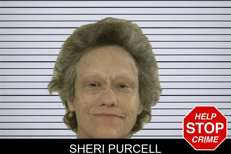 Sheri Purcell mugshot – Liberty County , Georgia Sheri Purcell mugshot