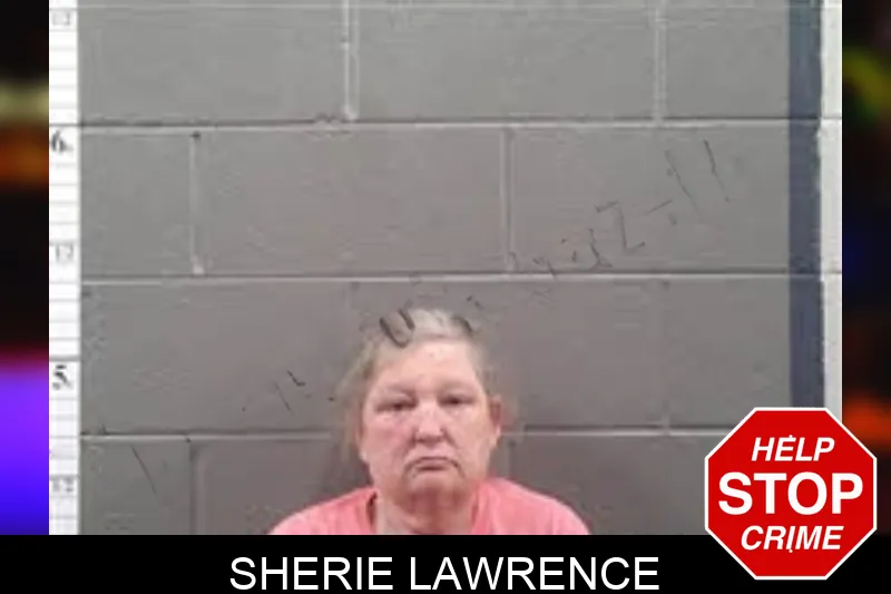 Sherie Lawrence mugshot
