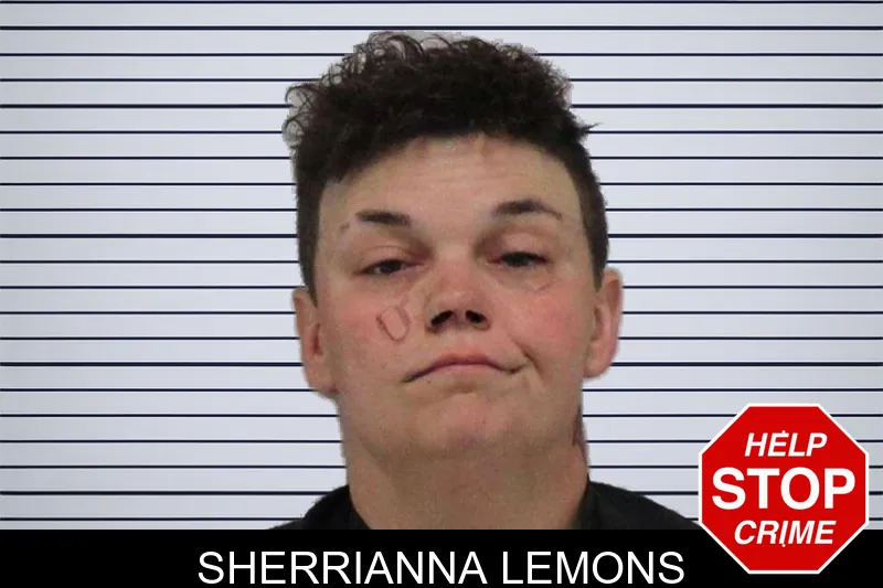 Sherrianna Lemons mugshot
