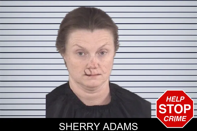 Sherry Adams mugshot – Spalding County , Georgia Sherry Adams mugshot