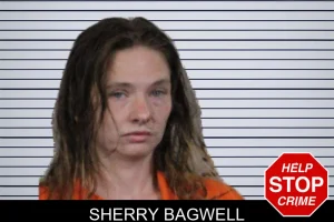 Sherry Bagwell mugshot