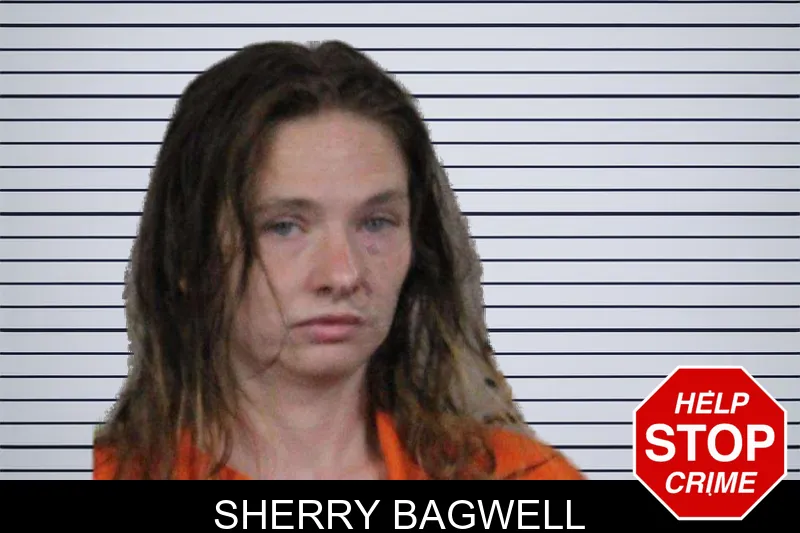 Sherry Bagwell mugshot – Lamar County , Georgia Sherry Bagwell mugshot