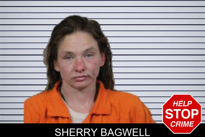 Sherry Bagwell mugshot