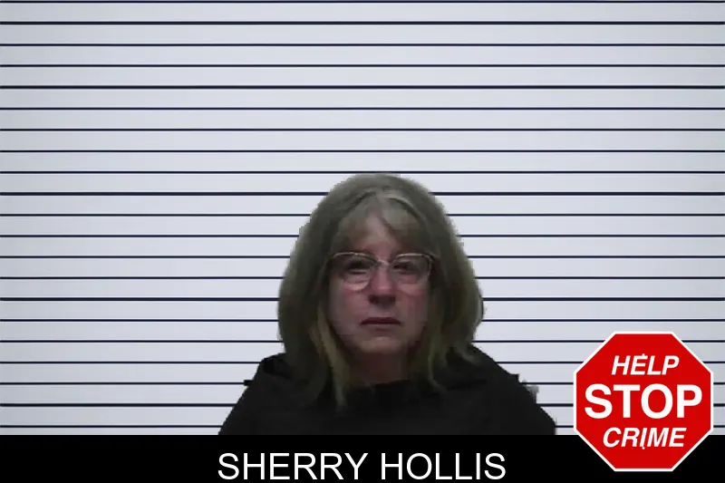 Sherry Hollis mugshot
