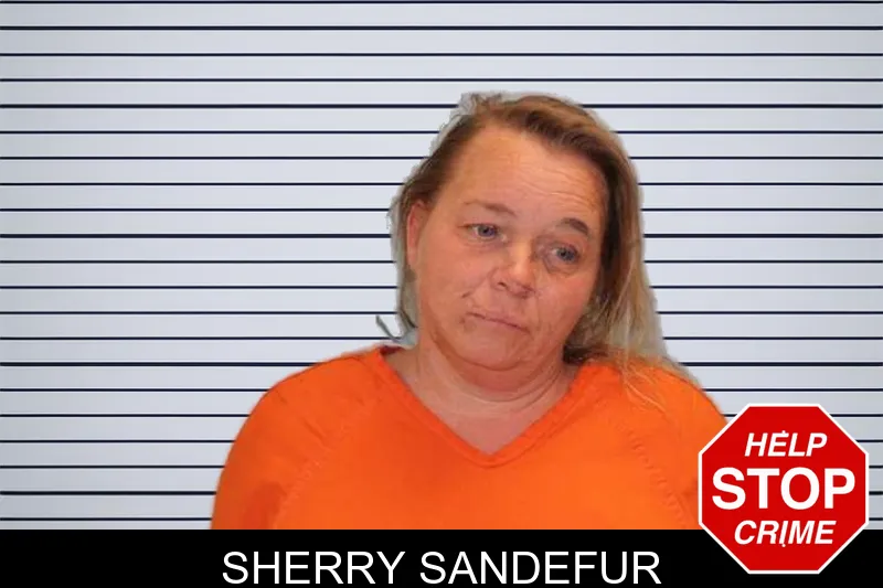 Sherry Sandefur mugshot