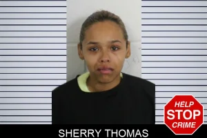 Sherry Thomas mugshot