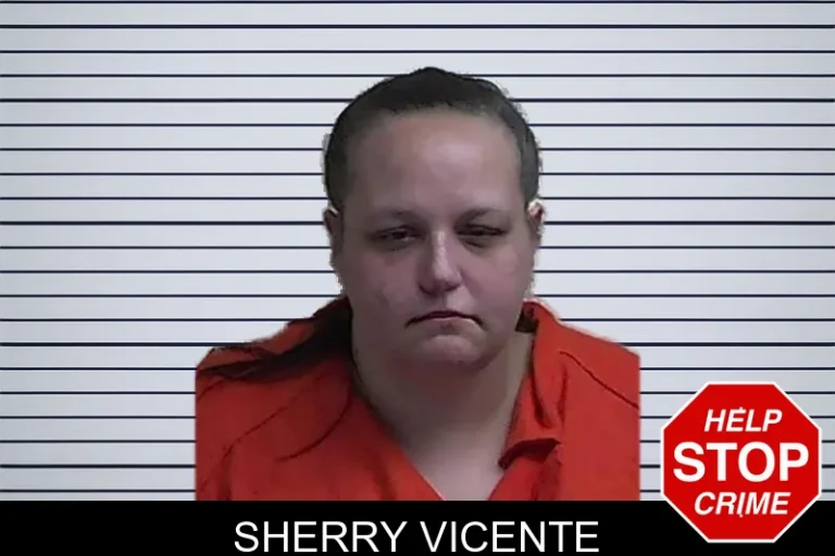 Sherry Vicente mugshot – Fannin County , Georgia Sherry Vicente