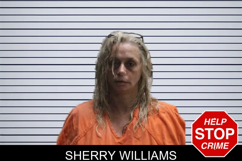 Sherry Williams mugshot – Murray County , Georgia Sherry Williams mugshot