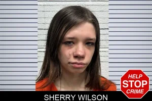 Sherry Wilson mugshot