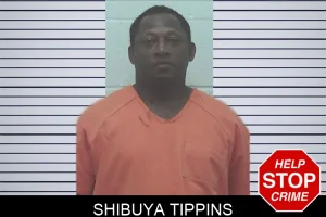 Shibuya Tippins mugshot