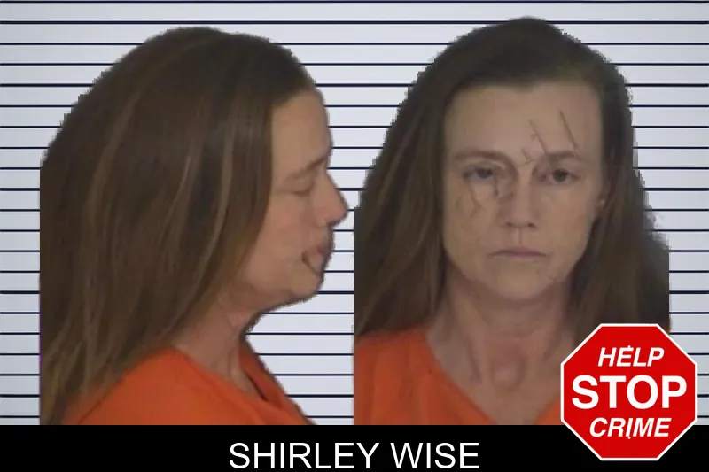 Shirley Wise mugshot