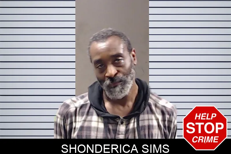 Shonderica Sims mugshot