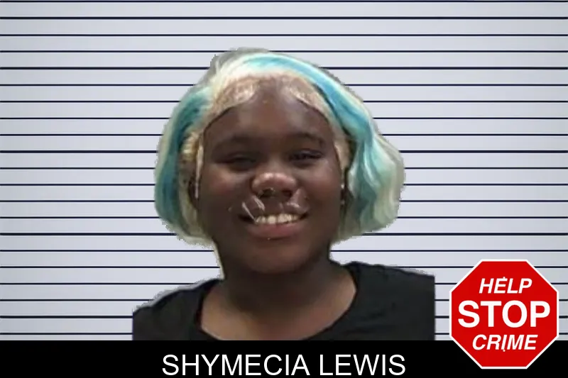 Shymecia Lewis mugshot – Baldwin County , Georgia Shymecia Lewis mugshot