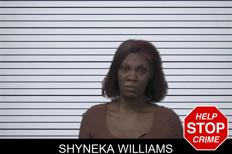 Shyneka Williams mugshot