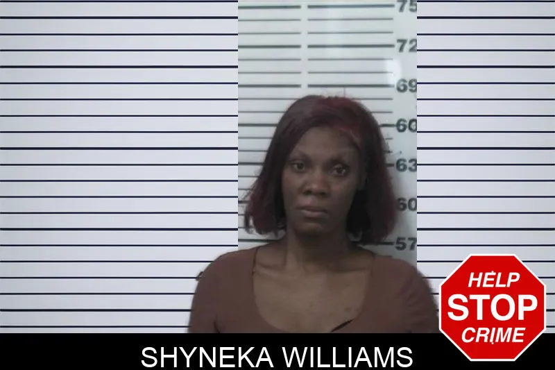 Shyneka Williams mugshot