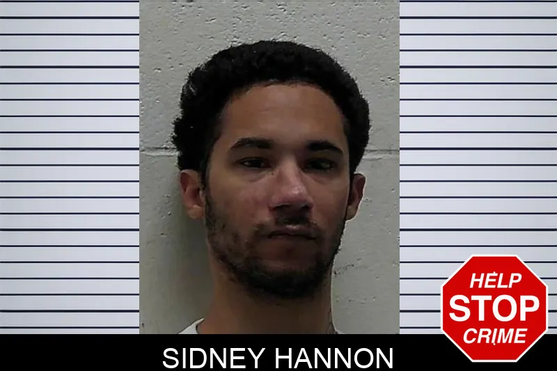 Sidney Hannon mugshot – Pierce County , Georgia Sidney Hannon mugshot